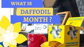 What is Daffodil Month?