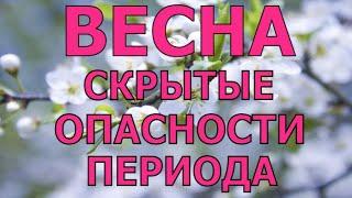 Весна - скрытые опасности переходного периода для здоровья / Елена Бахтина