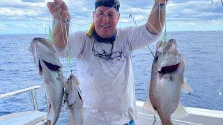 How to catch Pearl Perch using Jigs and Electric Reels in 120m deep off the Gold Coast, Australia.