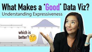 What makes a "good" dat visualization?: Expressiveness in Data Visualization Explained