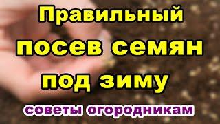 Правильный посев семян под зиму | Советы огородникам