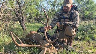 ARCHERY HUNTING AXIS DEER IN TEXAS with Ben O'Brien & Ryan Callaghan - Day 1