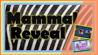 What's the mammal? I animal game I mammals for kids