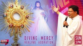 Divine Mercy Adoration Live Today | Fr. Augustine Vallooran | 13 December | Divine Goodness TV