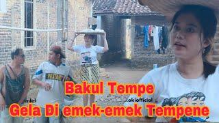 BAKUL TEMPE |  Film pendek ngapak #mlekoki