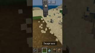 THIS IS HOW MINECRAFT TURTLES LAY EGGS #6