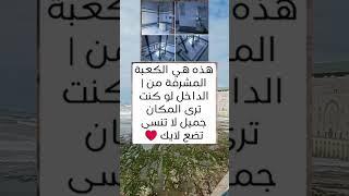 ستوريات انستا حالات وتس اب اقوال توماس شيلبي قصص واقعيه حقائق ومعلومات#shorts#ستوريات_ادولف