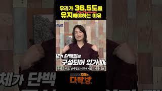 우리가 36.5도를 유지해야 하는 이유 #건강 #염증 #질병 #이지향약사