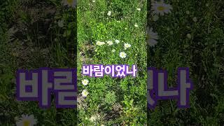 스쳐지나.저만치.흔들고간.바람ᆢᆢ#박강수