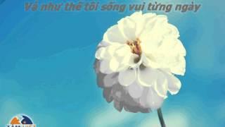 Mỗi ngày tôi chọn 1 niềm vui Vietsub Lyrics