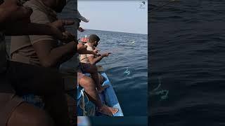 King Fish Caught Using Live Indian Scad Bait  #fishingvideo #deepseafishing #seafishing