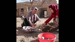 Zuleikha in the oldest | village of Afghanistan | Afghani musafir