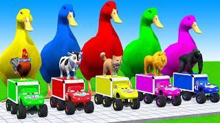 5 Giant Duck Cartoon, Cow, Elephant, Tiger, Paint Wild Animals Crossing Fountain Animation