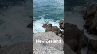 new Zealand #newzealand #shortvideo