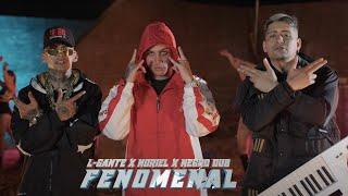 FENOMENAL - L GANTE X NORIEL X NEGRO DUB (Official video)