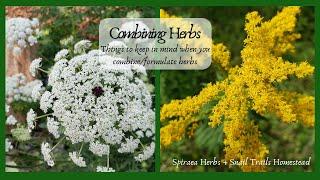 Things to Consider When You Combine/Formulate Herbs