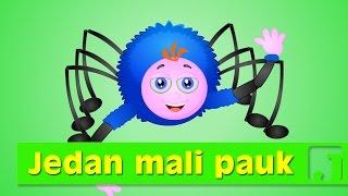 Jedan mali pauk | Dečije pesme | Jaccoled pesme za decu | Itsy Bitsy Spider