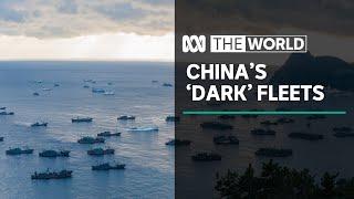 How China's 'dark' fleets are plundering the world's oceans