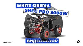 ЭЛЕКТРОКВАДРОЦИКЛ WHITE SIBERIA SNEG PRO 3000W | Обзор | WAYSTORY | Технологии Будущего