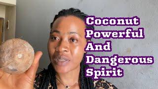 Coconut As A Powerful And Dangerous Spirit All You Should Know