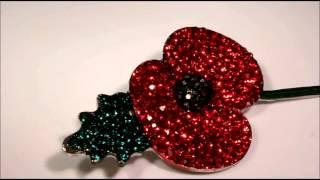 Crystal Remembrance Inspired Poppy Brooch