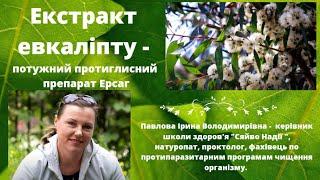 Екстракт евкаліпту - потужний протиглисний препарат Ерсаг. Ірина Павлова