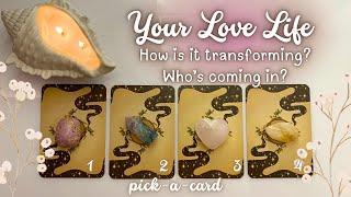 Pick A CardYour Love Life 2024: How’s It Transforming & Who’s Coming In Next? Psychic Reading