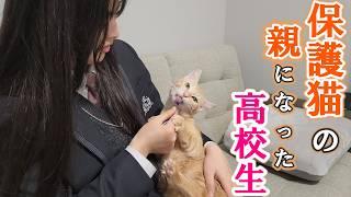 【最終回】保護猫の親になった高校生