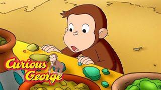 George's Desert Adventure  Curious George  Kids Cartoon  Kids Movies