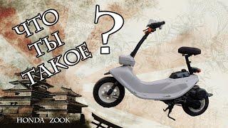 Honda Zook, что ты такое?