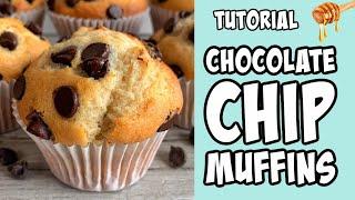 Chocolate Chip Muffins! Recipe tutorial #Shorts