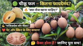 "chiku fal – कितना मीठा और फायदेमंद?  | Chiku Fruit Benefits & Taste! " chiku fal kaisa hota hai