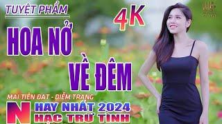 Hoa Nở Về Đêm, Hái Trộm Hoa Rừng Nhạc Trữ Tình Hay Nhất 2024 - Lk Bolero Nhạc Vàng Xưa Bất Hủ