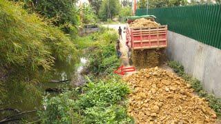 New Project! Truck Action Dumping Soil On Old Road With Bulldozer D20 Pushing Soil | Resize Road