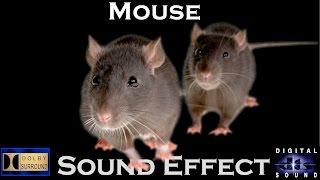 Sound Effects Of Mouse | High Quality Audio