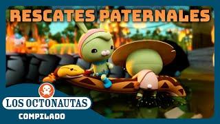 Los Octonautas -  Rescates paternales ️ | Episodios Completos | Compilado