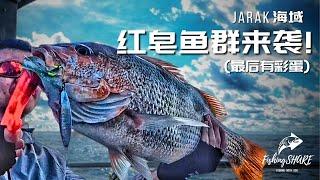 【FishingShare】JARAK海域红皂鱼群来袭！JIGGING海钓钓游记！(最后有彩蛋)ANG CHO Invasion in JARAK! (With a Surprise Ending!)