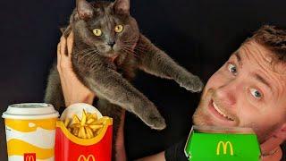 I'm lovin' it! McDonald's HAMBURGERS FRIES and COKE asmr eating. Royal McMenu