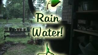 2 Experiments and Rainwater