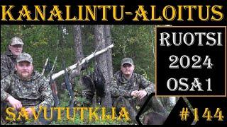 OSA1: Kanalintujahdin aloitus Ruotsissa 2024 - Grouse and Capercaillie Hunting in Sweden