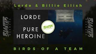 Billie Eilish & Lorde - Birds Of A Team (By Blanter Mashups)