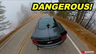 Pure Sound! Driving the Most Dangerous & Beautiful Road in Los Angeles! LA Canyon Real Life Downhill