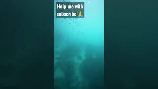 Underwater shower | #viral #shorts #short #shortvideo #girl #bikini #hot #sexy #sexygirl |
