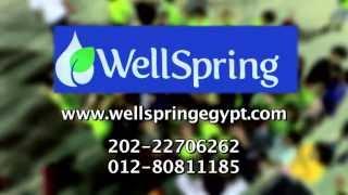 WellSpring TV Advertisement