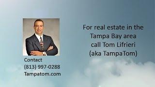 Home for Sale in Pebble Creek Tampa Florida