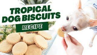 Tropical Treasures: Gluten-Free Dog Treats Recipe | Proud Dog Mom