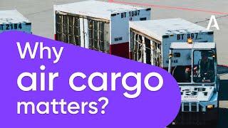 Air Cargo Management Basics by Celine Hourcade