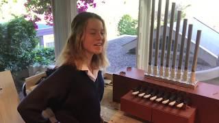 Home Made Pipe Organ
