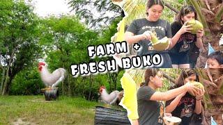 VLOG • Province Life At Siquijor Island | SakiV