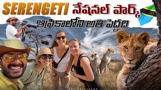 Watch The Incredible Animal Migration of the Serengeti National Park in Tanzania!